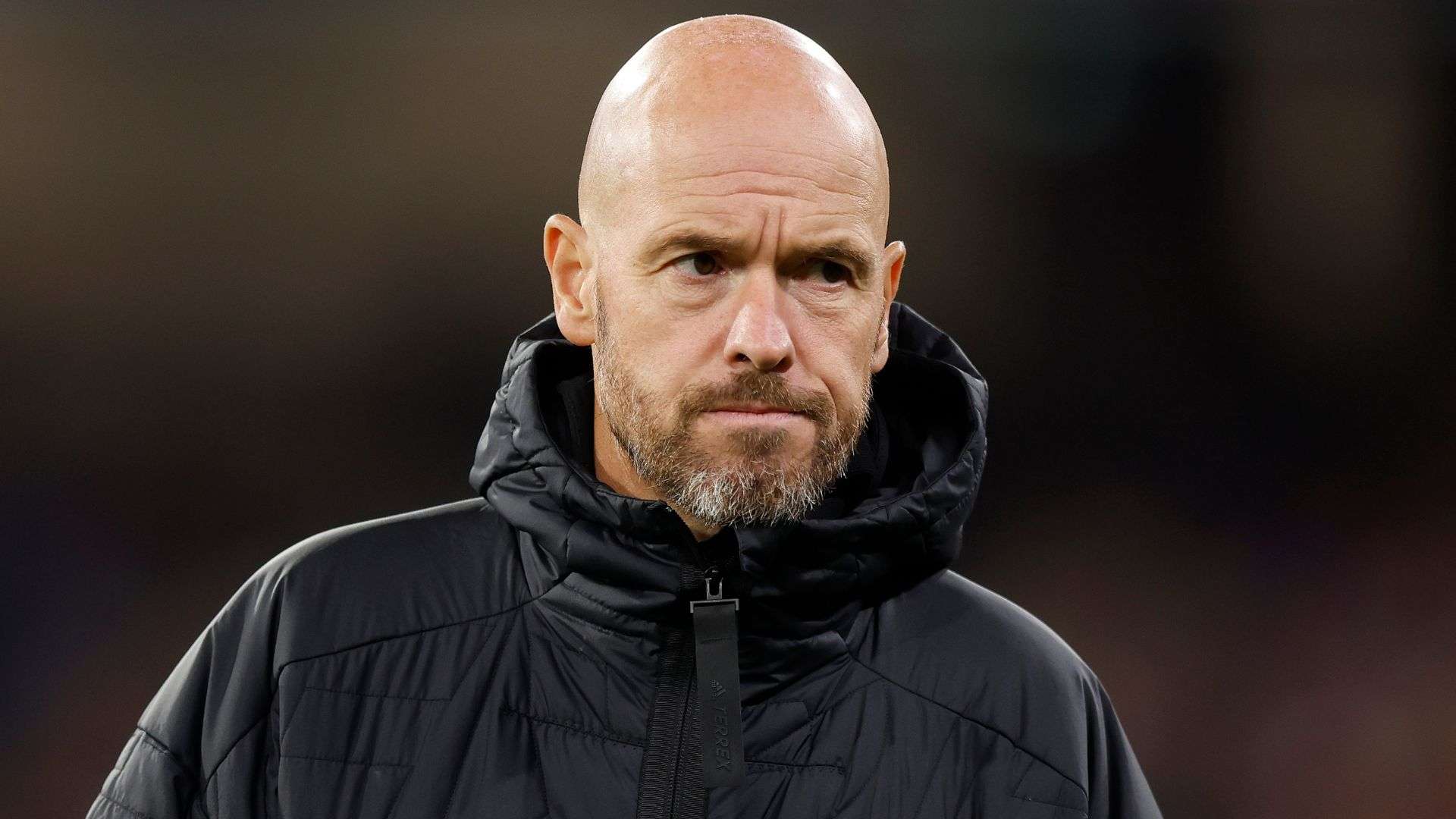 有特殊的情 有特殊的情